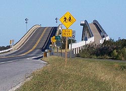 [photo, Verrazano Bridge and pedestrian bridge over Sinepuxent Bay, Assateague Island National Park Seashore, Berlin (Worcester County), Maryland]