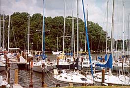 [photo, Sailboats docked at Nabbs Creek, Anne Arundel County, Maryland]