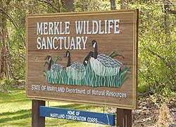 [photo, Merkle Wildlife Sanctuary, 11704 Fenno Road, Upper Marlboro, Maryland]