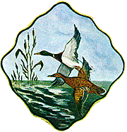 [County Seal, Cecil County, Maryland]