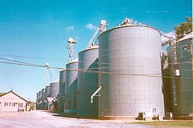 [photo, Grain silos, Wye Mills, Maryland]